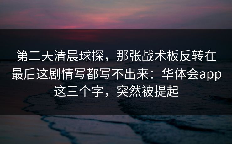 第二天清晨球探，那张战术板反转在最后这剧情写都写不出来：华体会app这三个字，突然被提起