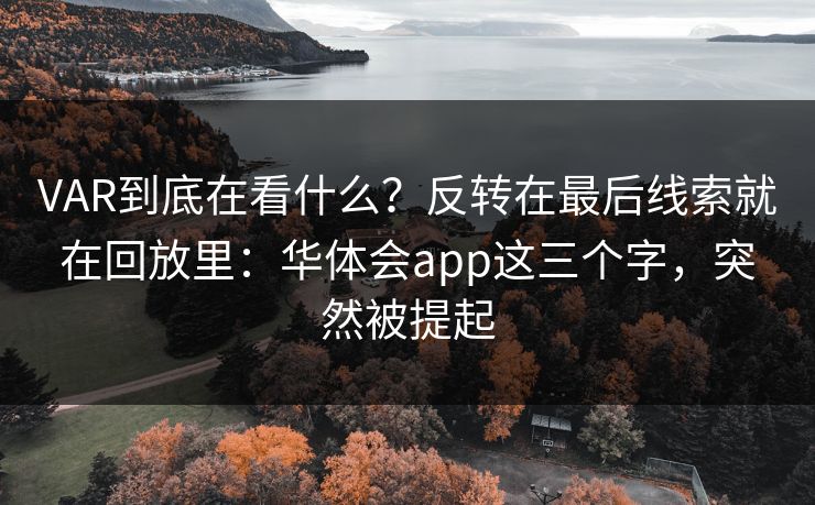 VAR到底在看什么？反转在最后线索就在回放里：华体会app这三个字，突然被提起