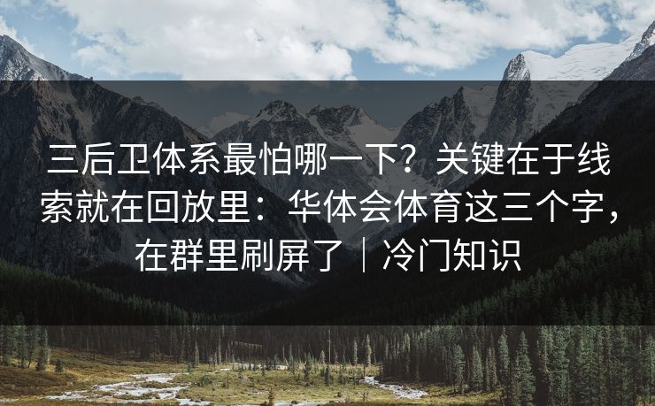 三后卫体系最怕哪一下？关键在于线索就在回放里：华体会体育这三个字，在群里刷屏了｜冷门知识
