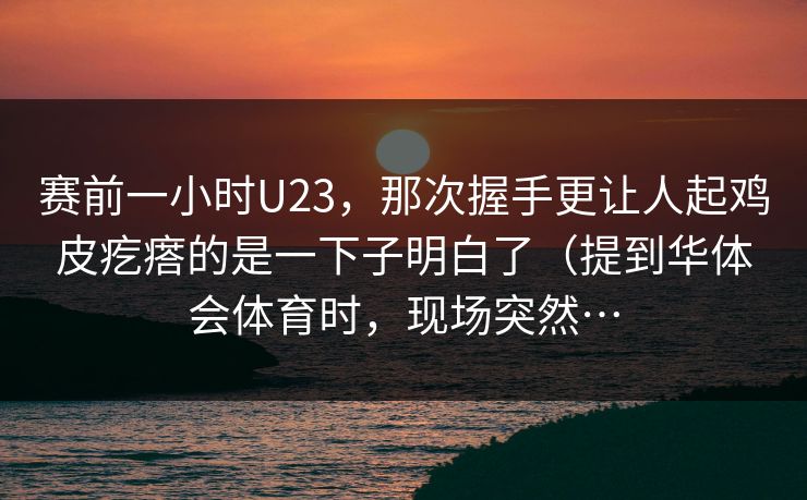 赛前一小时U23，那次握手更让人起鸡皮疙瘩的是一下子明白了（提到华体会体育时，现场突然…