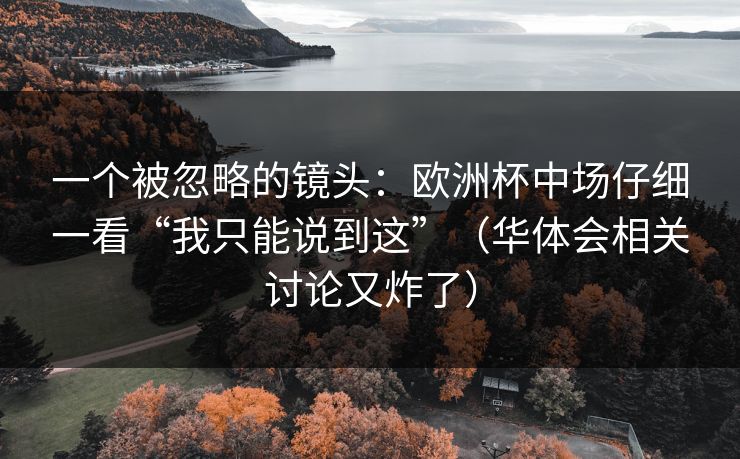 一个被忽略的镜头：欧洲杯中场仔细一看“我只能说到这”（华体会相关讨论又炸了）